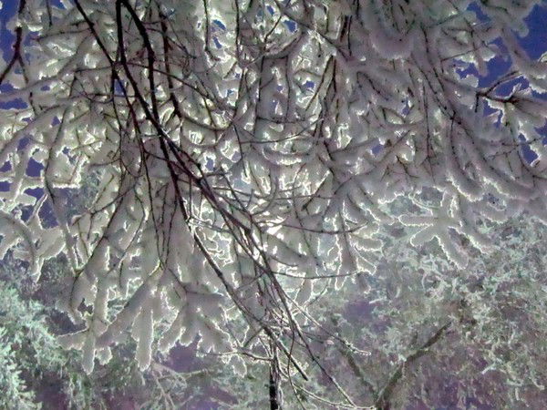 Ирина Рыжова