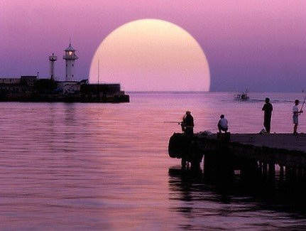 Александр Боженко