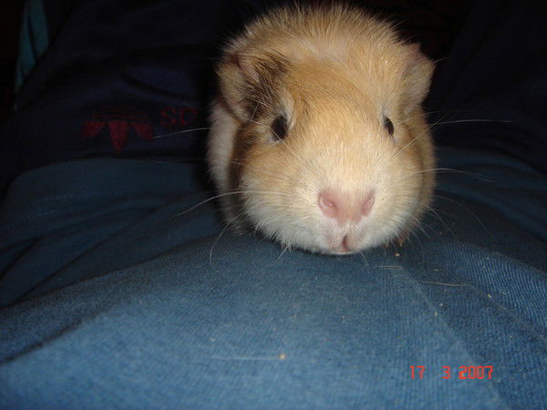 Александр Бочаров