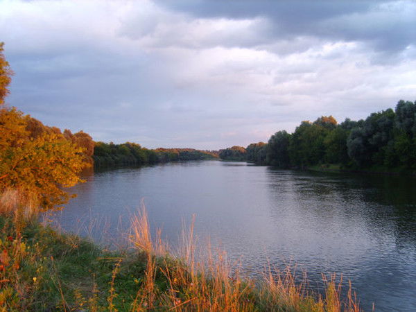 Богдан Сауляк