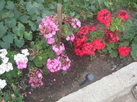 Людмила Сладкова