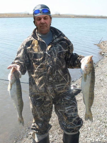 Николай Бабушкин