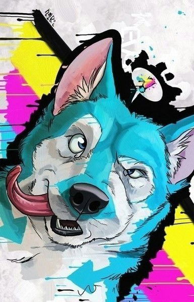 Медет Ракишев