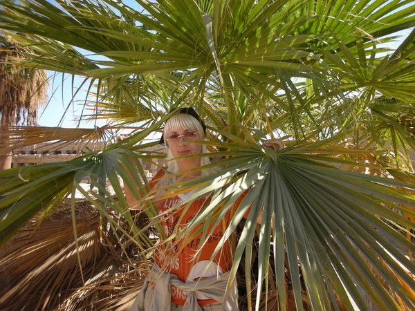 Светлана Шибеко