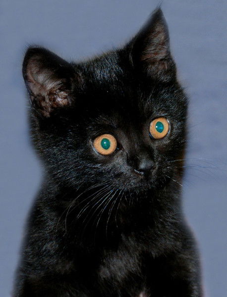 Сергей Гладкий