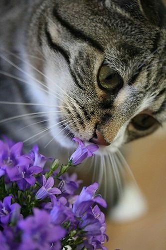 Наталья Зеленина