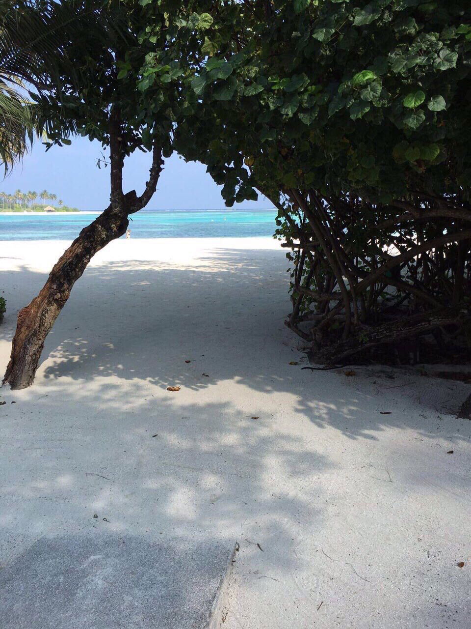 Иянина Горбатюк