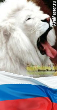 Александр Viplev