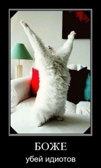 Димон Орленко