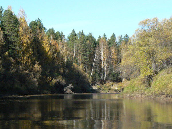 Миша Пепеляев