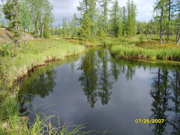 Крым Устарбеков