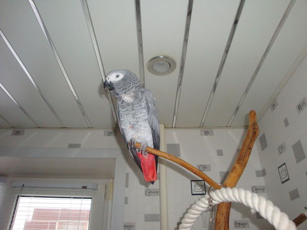 Ольга Андрюшкина