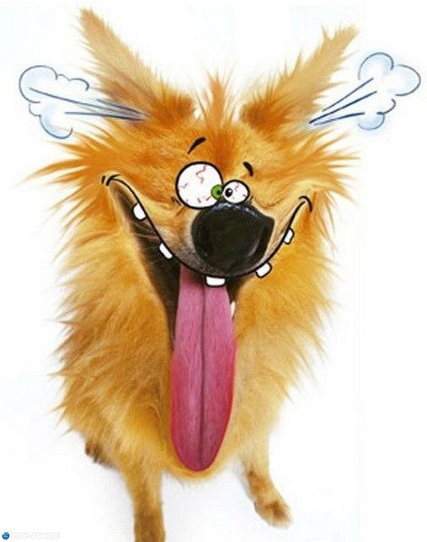 Андрей Олейник