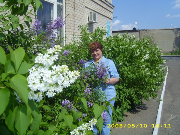 Галина Зырина