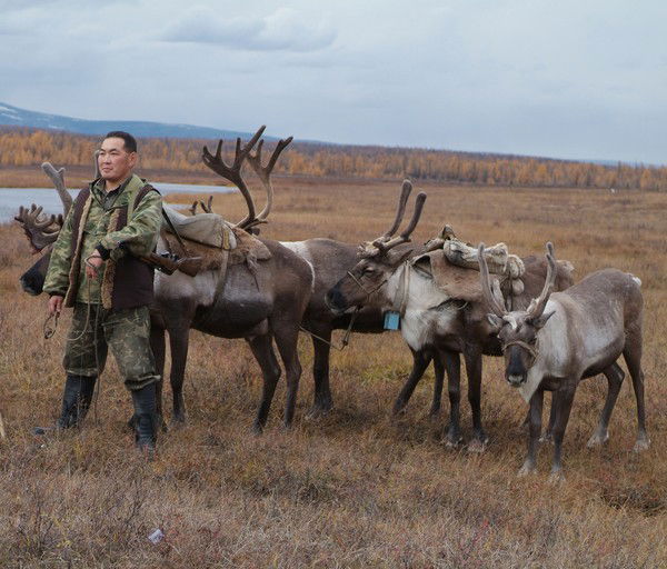 Александр Григорьев