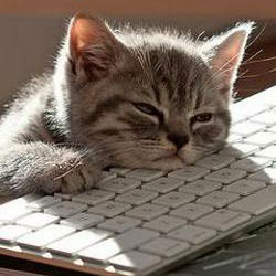 Андрей Евгения Бадулины