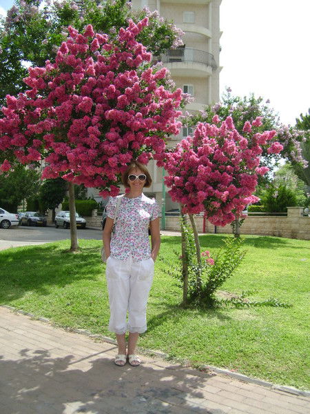 Ирина Шамшиева