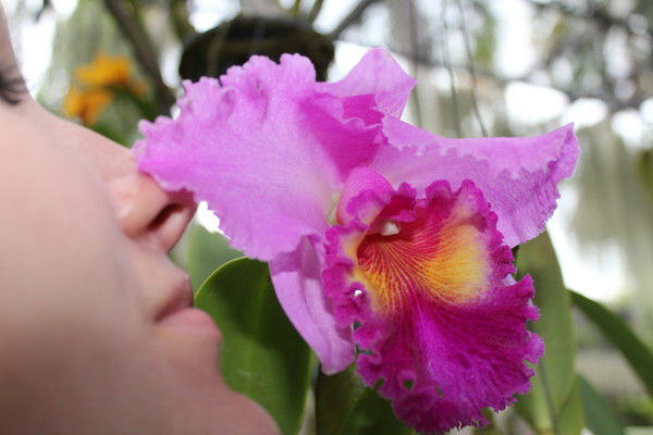 Нина Ягодина