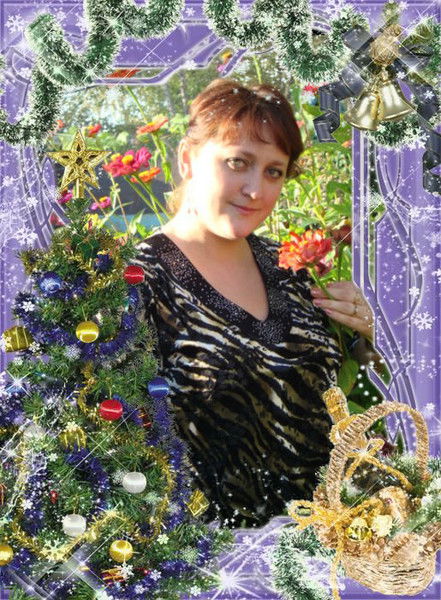 Елена Комиссарова