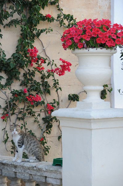 Алмагуль Мусина