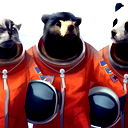 Адистрибьюшенс Саппорт