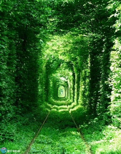 Гу Отдел Жилищной Инспекции Осакаровског