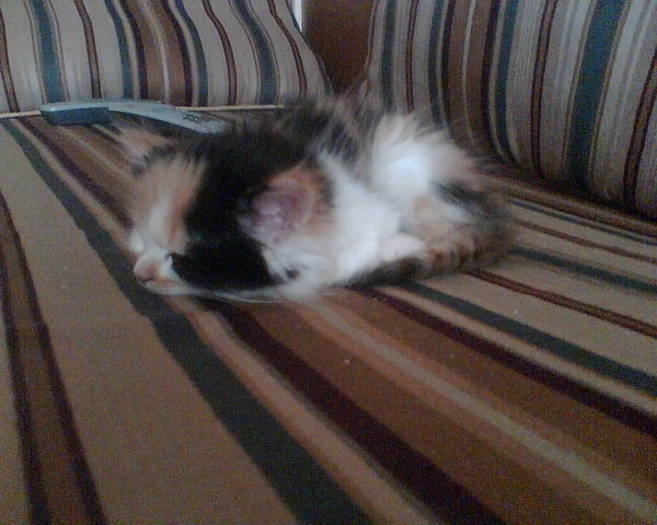 Юля Касимова