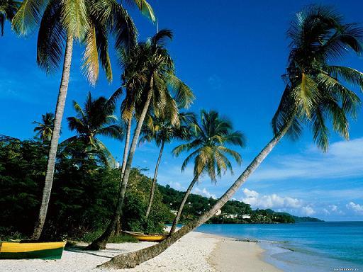 Альбина Мовшук