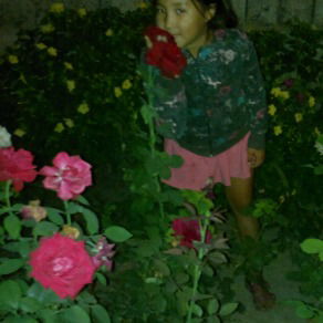 Илима Давлеткельдиева