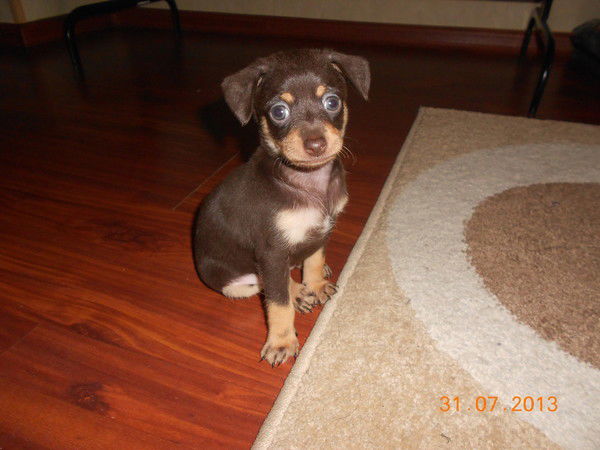 Дмитрий Зинченко