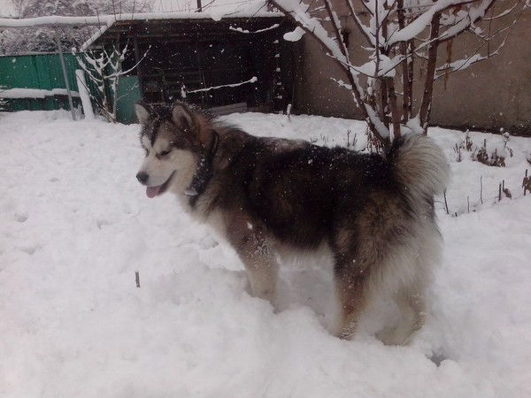 Лилия Кузнецова