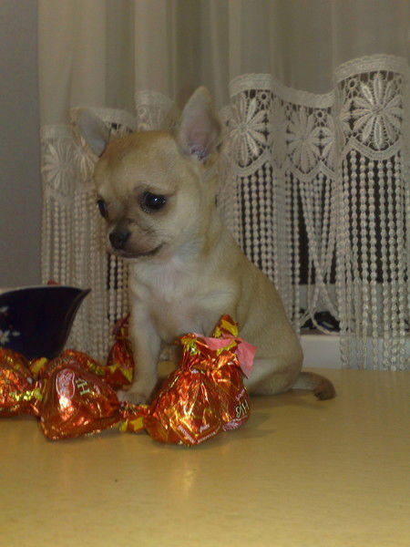 Екатерина Александровна