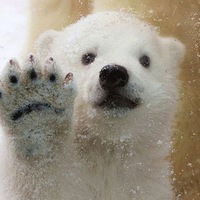 Жалгас Есетов