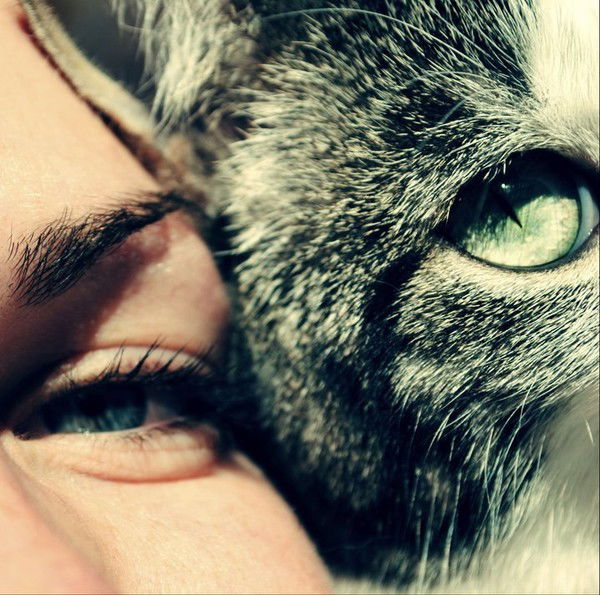 Alexandra Dubovitskaya