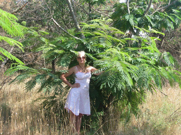 Наташа Морозова