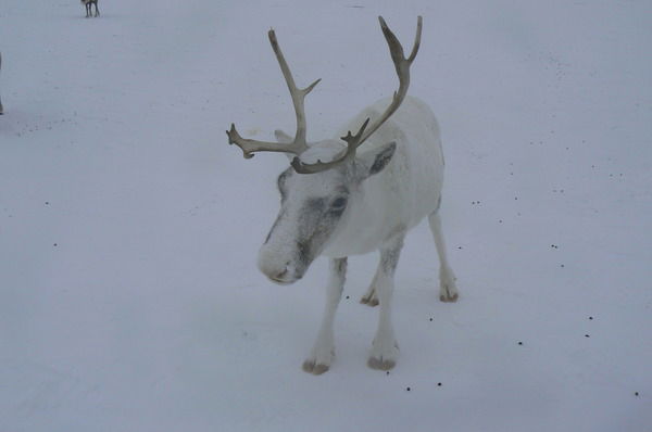 Андрей Иванов