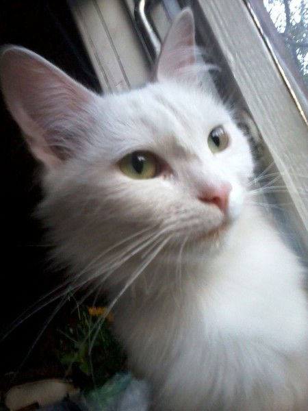 Гузалия Низамова