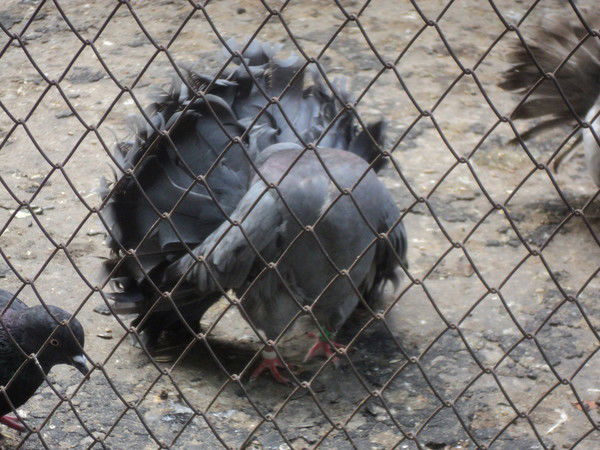 Татьяна Афонькина