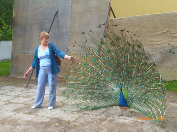 Ираида Кныш