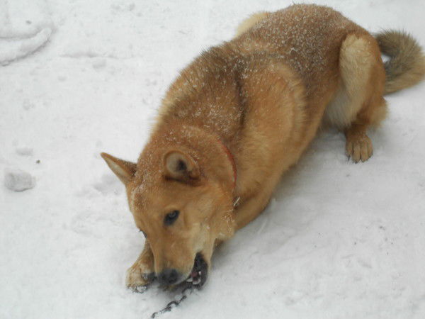 Дмитрий Егоров