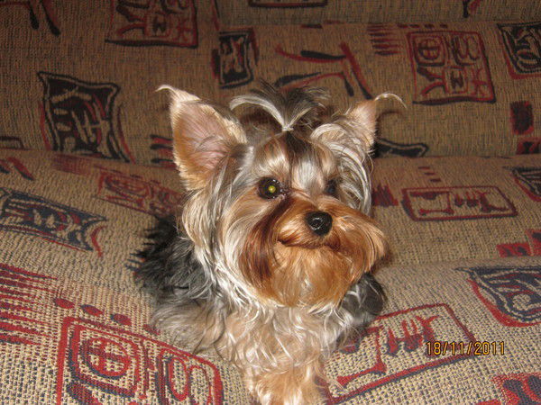 Наташа Фадеева