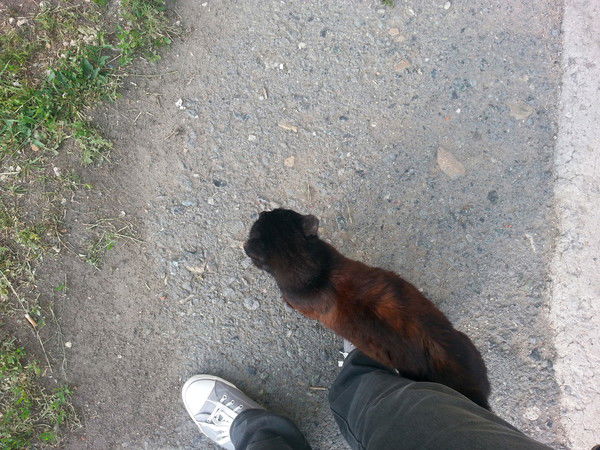 Михаил Усманов