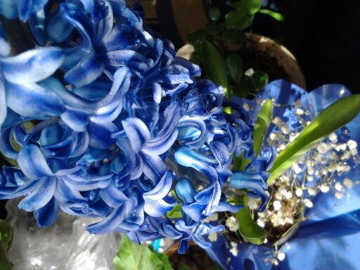 Катя Панаитиди