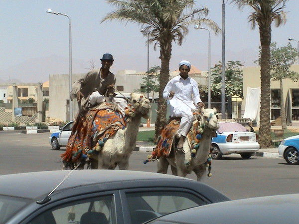 Андрей Зевакин
