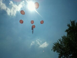 Светлана Нестерова