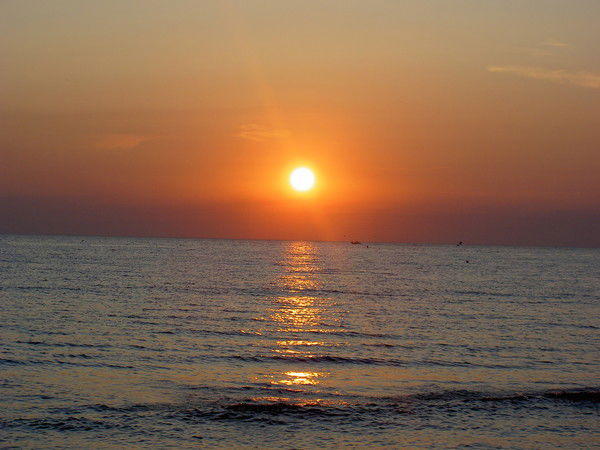 Марина Ноздрачева