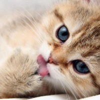 Эльвира Садыкова