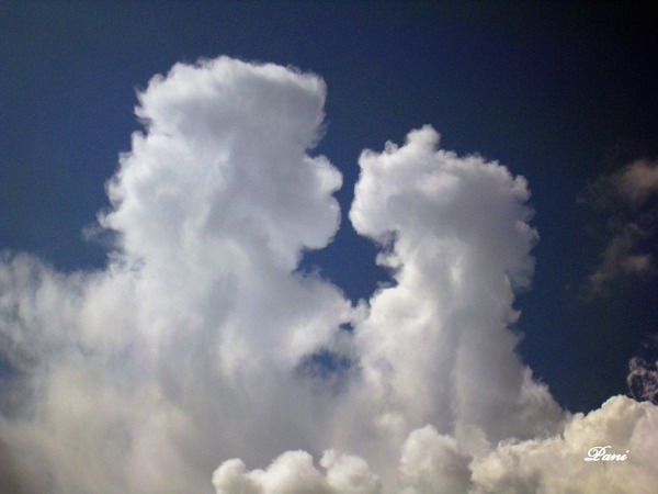 Михаил Некрасов