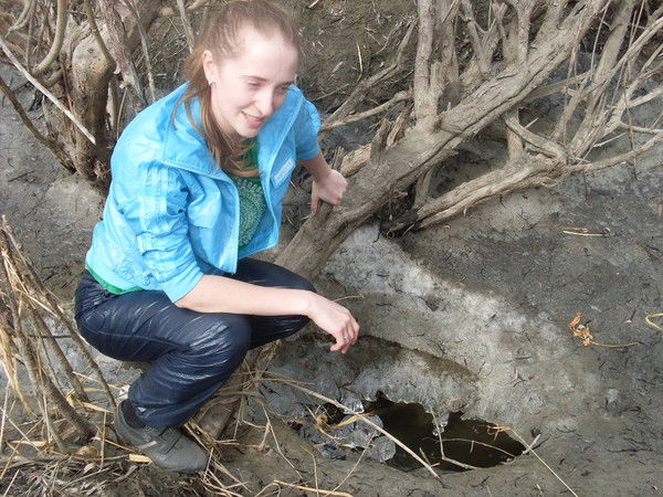 Ирина Сергеева