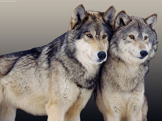 Александр Aleks